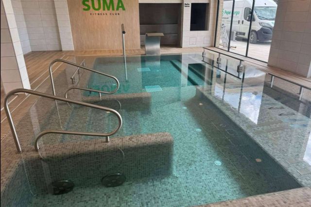 Clorador salino vs Pool Tiger, ¿cuál es la mejor opción para una piscina con menos químicos y más saludable? - 1, Foto 1