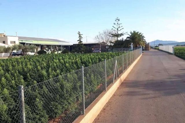 A subasta una Unidad Productiva del sector agroalimentario en Benicarló valorada en más de 1.3 millones de euros - 1, Foto 1