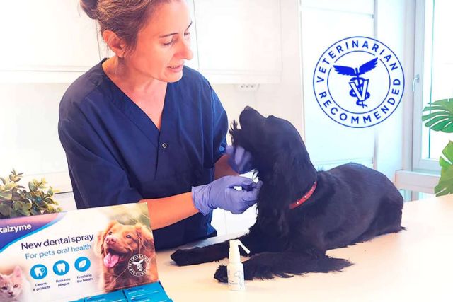 Kalzyme, el spray enzimático que revoluciona la salud bucodental de los perros - 1, Foto 1
