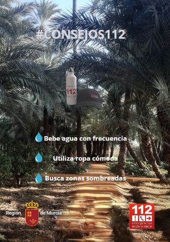 Las autoridades sanitarias advierten de que la Vega del Segura, Campo de Cartagena y Mazarrón, está hoy sábado 28 de junio, en ALERTA NIVEL 1 (riesgo leve) por el calor - 1, Foto 1