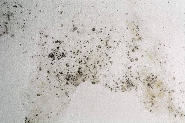 HumiX protege el patrimonio histórico frente a su peor enemigo; la humedad - 1, Foto 1