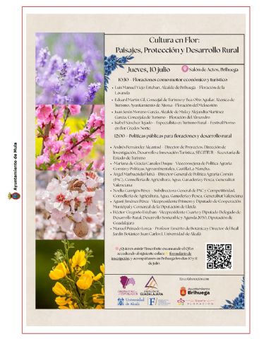 Mula participará en el Foro Nacional de Floración en Brihuega como ejemplo de motor económico y turístico   - 1, Foto 1