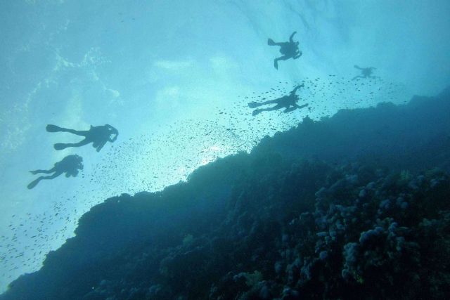 Orizontes; viajes a medida, responsables y con atención personalizada - 1, Foto 1