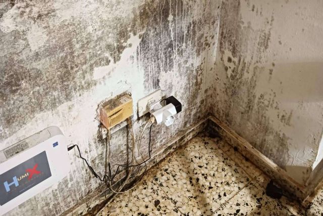 Moho; un enemigo invisible que afecta a la salud y al hogar - 1, Foto 1