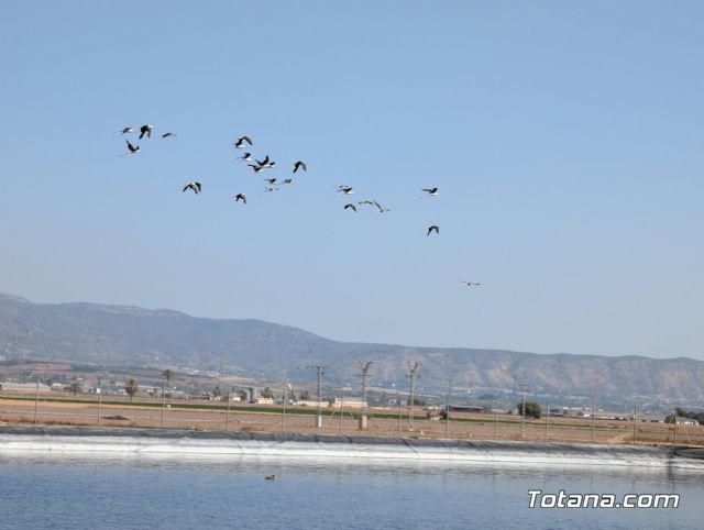 Inauguran una instalacin solar fotovoltaica en Totana para reducir costes energticos de la Comunidad de Regantes - 30