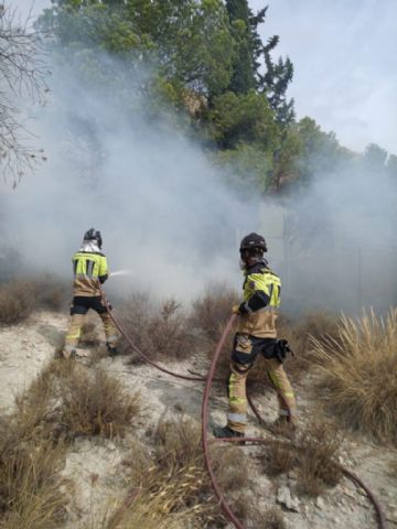 Sofocan conato de incendio forestal en Ulea - 1, Foto 1