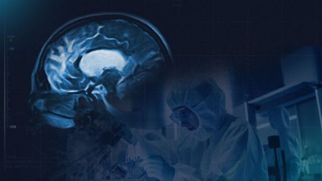 GEN y Sulfateq anuncian resultados positivos en fase 1 del fármaco SUL-238 para el Alzheimer - 1, Foto 1