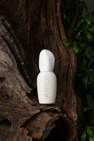 Pippala Care estrena nueva tienda online de cosmética holística gracias al Kit Digital y Attittud Consulting - 1, Foto 1