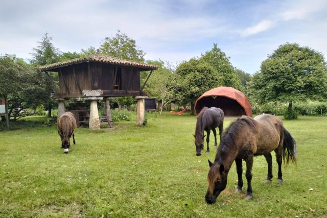 El Ecomuséu Ca l’Asturcón se posiciona como referente de ecoagroturismo en torno al poni asturiano - 1, Foto 1