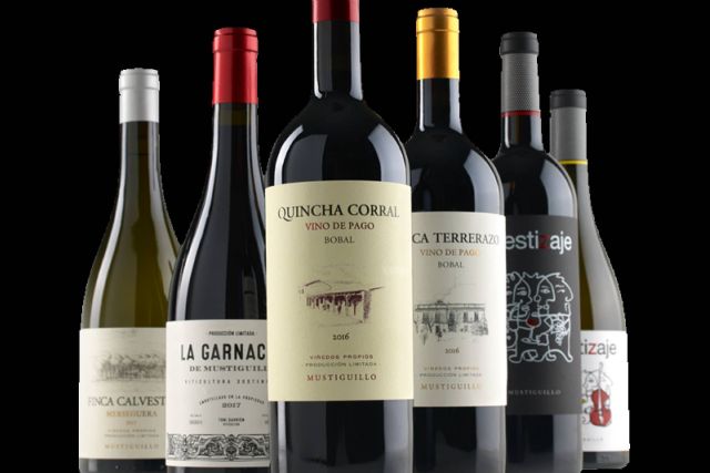 Distribución de vinos selectos para hostelería, el compromiso de Profesionales Casa del Vino - 1, Foto 1