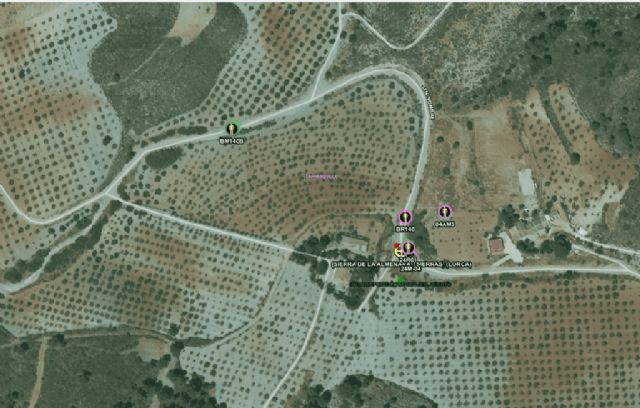 Conato de incendio forestal en la Rambla de la Carrasquilla, Lorca - 1, Foto 1