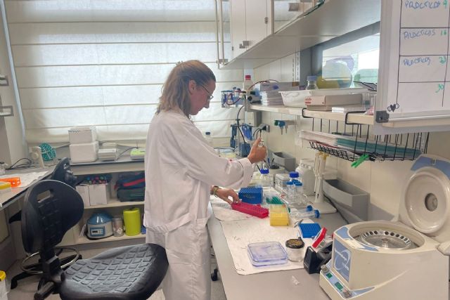 La afiliación a la Seguridad Social vuelve a marcar máximos en julio con casi medio millón de afiliados más en el último año - 1, Foto 1