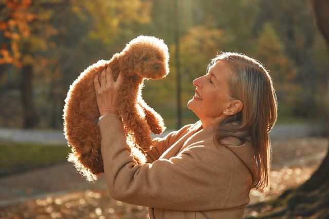 Finca Von Martin recuerda el valor de los animales de compañía cuando la soledad golpea - 1, Foto 1