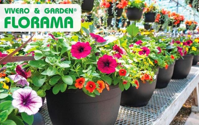 Viveros Florama: Inspirando jardines con naturaleza y diseño único - 1, Foto 1