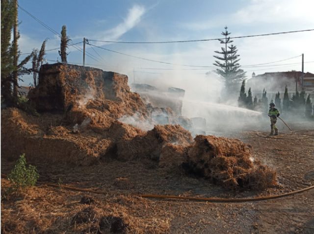 Incendio en un solar con caballos y balas de paja en Lorca - 1, Foto 1