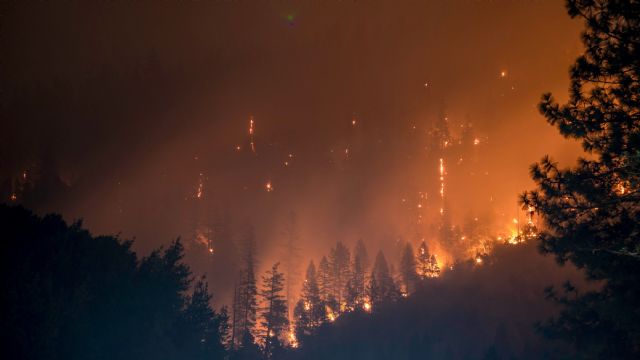 Allianz intensifica su protocolo especial ante los incendios que están asolando parte del país - 1, Foto 1