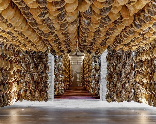 Jornada de puertas abiertas en el Campus del Jamón Monte Nevado: una inmersión en la cultura y tradición del jamón - 1, Foto 1