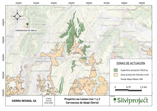 Así será el nuevo bosque de 119 hectáreas en Carrascosa de Abajo (Soria) diseñado con soluciones basadas en la naturaleza - 1, Foto 1
