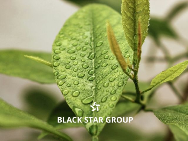 Black Star Group lanza nuevas soluciones para maquinaria agrícola e industrial - 1, Foto 1