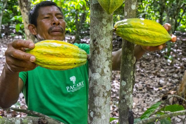 Ecuador se consolida como el destino ideal para los amantes del cacao - 1, Foto 1