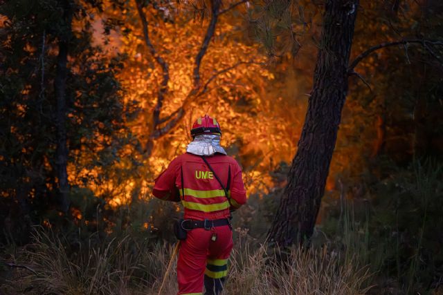 El Gobierno abre una vía extraordinaria para añadir a la declaración de zona afectada por una emergencia de protección civil aquellos incendios que no fueron comunicados por las comunidades autónomas - 1, Foto 1