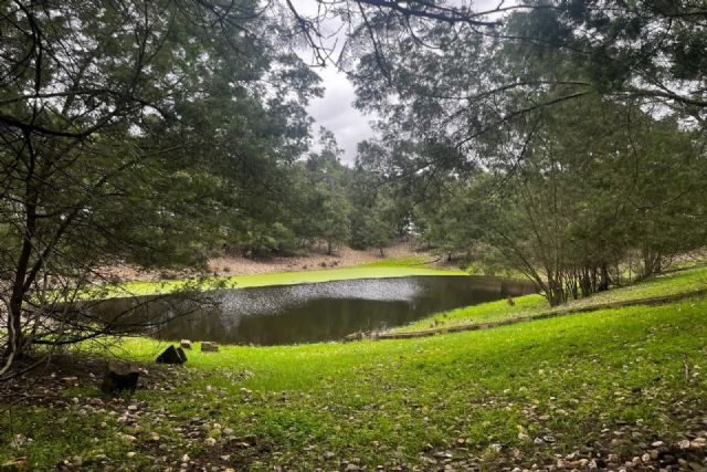 Transición impulsa la mejora ambiental agraria, forestal y otros usos sostenibles del territorio en Doñana, con 11,5 millones - 1, Foto 1