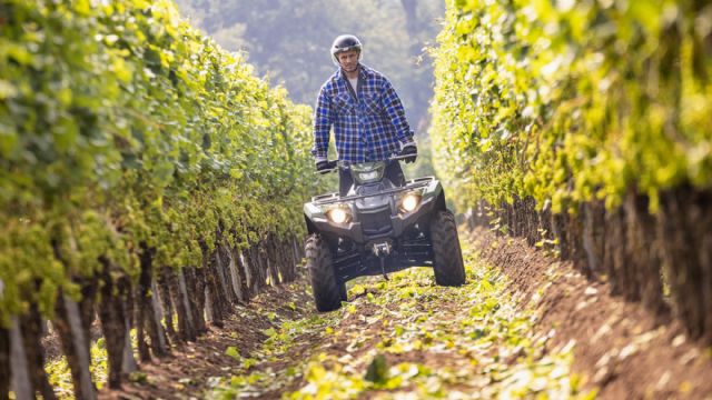 Vendimiar en un Quad Yamaha ya es posible - 1, Foto 1