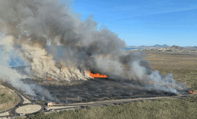 Incendio forestal en el espacio protegido de Torre del Rame, en Cartagena - 1, Foto 1