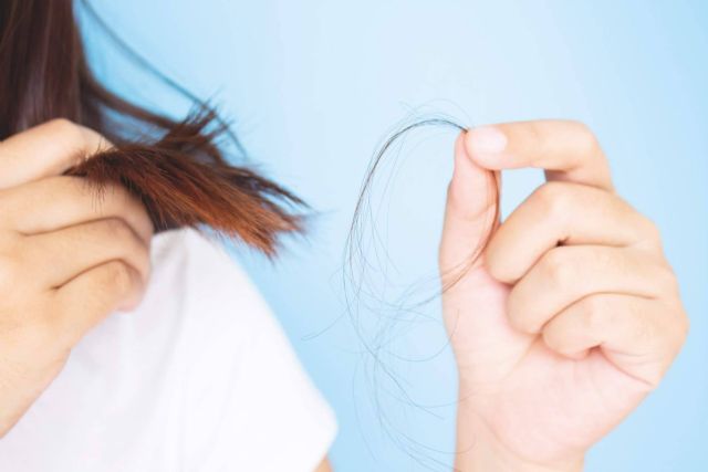 El otoño y el pelo; qué ocurre en el ciclo capilar durante los cambios de estación - 1, Foto 1