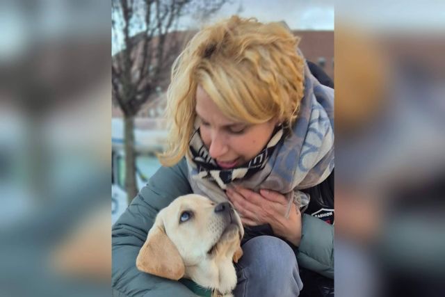 Referentes en adiestramiento canino en Madrid; la experiencia de Cole de Canes - 1, Foto 1