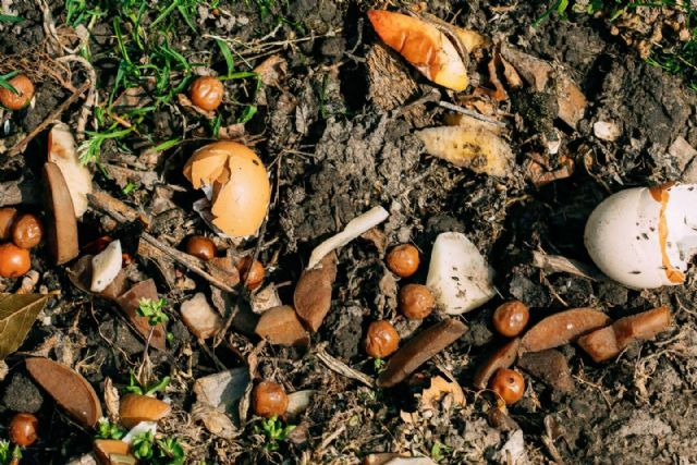 La gestión de residuos orgánicos a nivel industrial y comercial, motor de la Economía Circular - 1, Foto 1