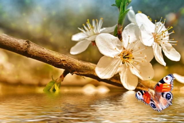 Las bolsas de papel, un recurso ecológico y eficiente para el embalaje moderno - 1, Foto 1