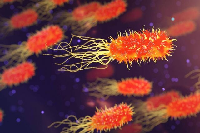 El tejido que revoluciona la sanidad, hoteles y cárceles con protección antiviral; CB20 ANTIVIRIC TEXTILES - 1, Foto 1