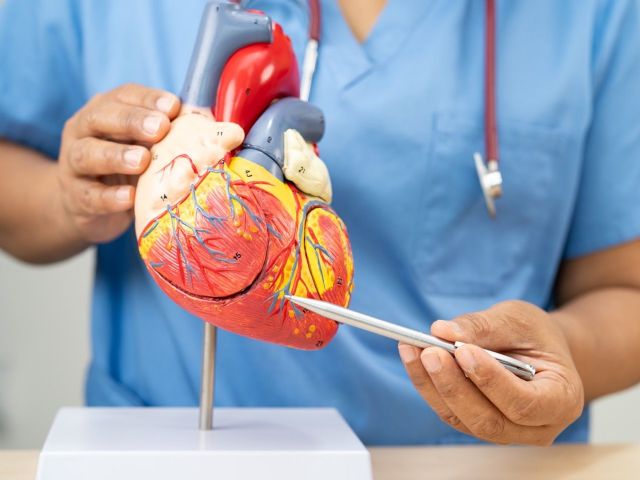 Dr. Gonzalo Navarrete, jefe del servicio de Cardiología de Policlínica Gipuzkoa: El ejercicio físico es fundamental para prevenir enfermedades cardiovasculares, incluso independientemente del peso del paciente - 1, Foto 1