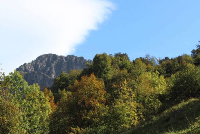 Que las empresas turísticas se comprometan con la Naturaleza tendrá su recompensa - 1, Foto 1