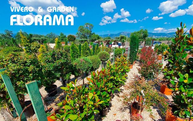 VIVEROS FLORAMA: excelencia y variedad al servicio del jardín - 1, Foto 1