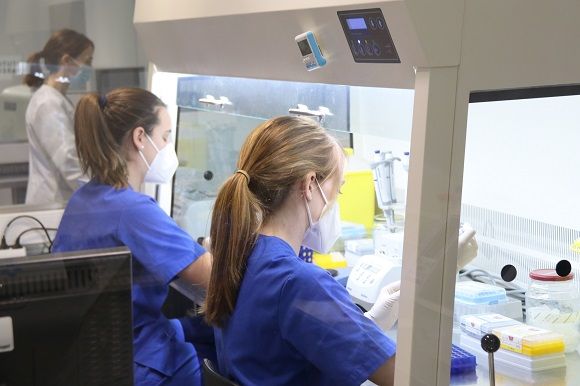 Españoles desarrollan un test para reducir el aborto repetitivo: “Lo sufren un 30% de las mujeres” - 1, Foto 1