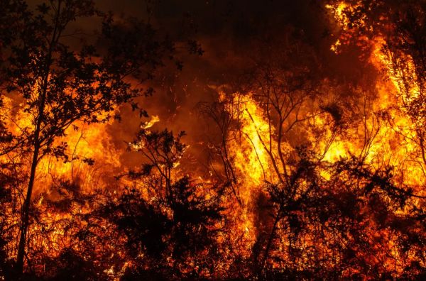 Los incendios en España ponen de manifiesto la urgencia de preparar a los profesionales para las crisis medioambientales - 1, Foto 1