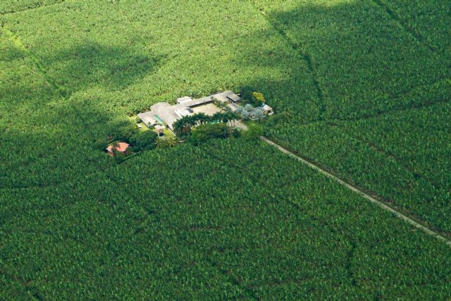 AUGURA presentará el banano colombiano en Fruit Attraction Madrid 2025 como ejemplo de sostenibilidad - 1, Foto 1