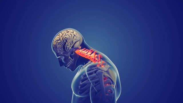 Confort y seguridad en movimiento; CERVISAFE redefine los viajes con Cervicales Seguras, Innovación en Viajes - 1, Foto 1