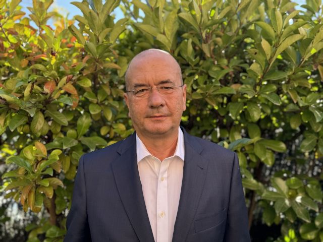 AleaSoft: la prioridad número uno para aprovechar el potencial fotovoltaico y eólico español son las redes - 1, Foto 1