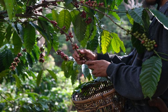 El Marketing Intelligence minimiza la volatilidad de los mercados para las empresas - 1, Foto 1