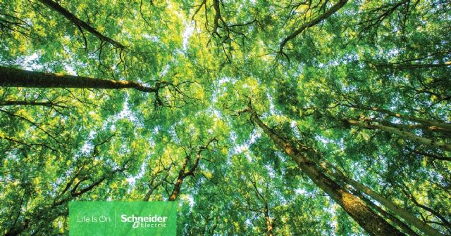 El centro de distribución de Schneider Electric en Évreux ha sido reconocido como Sustainability Lighthouse por el Foro Económico Mundial - 1, Foto 1