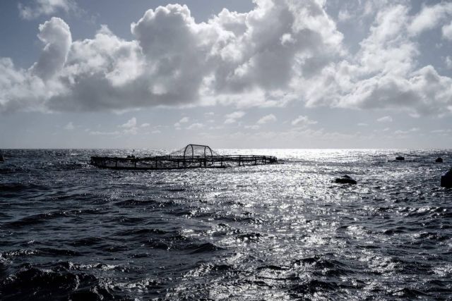 La sostenibilidad en la hostelería será premiada en Madrid Fusión - 1, Foto 1