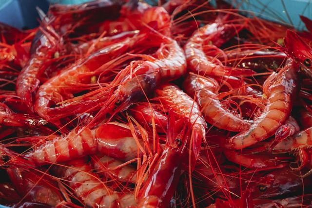 MSC celebra en CONXEMAR 2025 la sostenibilidad de la pesca ibérica y destaca la entrada de la gamba roja de Palamós en su Programa de Mejora - 1, Foto 1