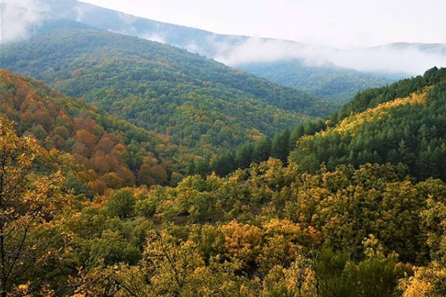 Como hacer que su viaje ayude realmente a la conservación de la Naturaleza; Una clara llamada a la acción desde Tourism4Nature - 1, Foto 1