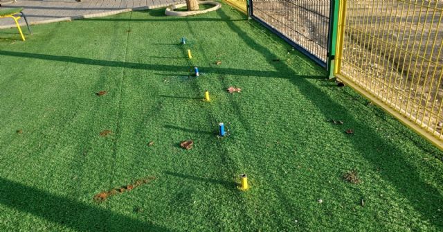 Problemas de limpieza en el pipicán - 1, Foto 1