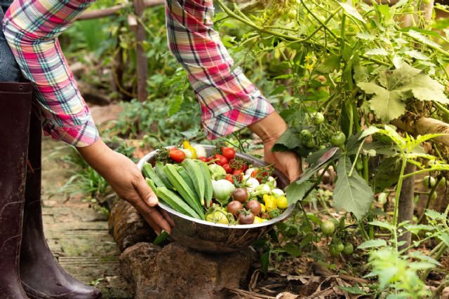 España se consolida como primer país europeo en superficie de producción ecológica - 1, Foto 1