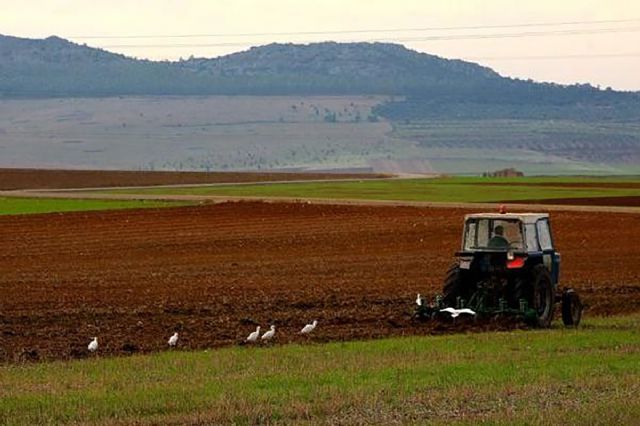 Los agricultores y ganaderos españoles percibirán 2.563 millones de euros en pagos anticipados de las ayudas directas de la PAC - 1, Foto 1
