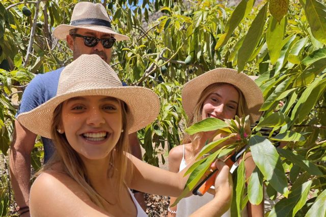 Tahodio Avocado Experience abre sus puertas el 22 de octubre; una inmersión sensorial en el corazón verde - 1, Foto 1